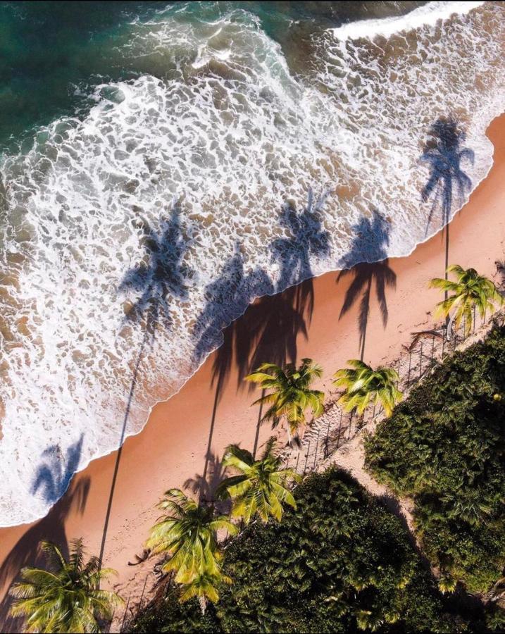 Numar Tubarao Pousada - Barra Grande Barra Grande  Exteriér fotografie